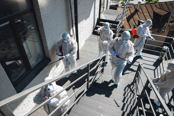 Best HVAC Mold Inspection and Cleaning  in Wellsville, UT