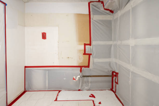 Best Commercial Mold Inspection  in Wellsville, UT