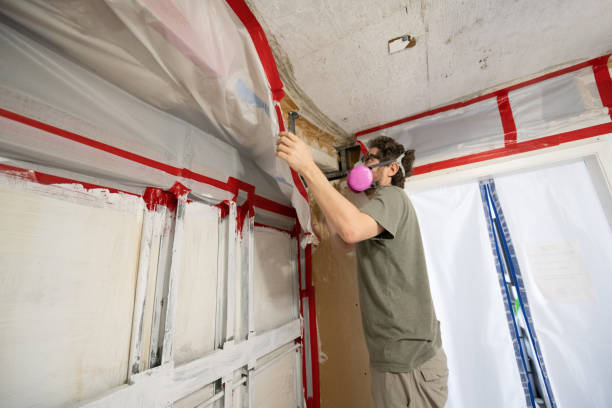Best Asbestos and Lead Testing During Mold Inspection  in Wellsville, UT