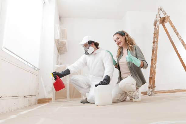 Best Residential Mold Inspection & Testing  in Wellsville, UT